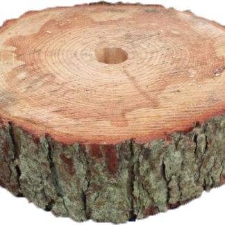 Chrsitmas Tree Log Base